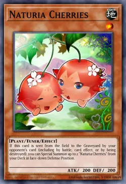 Naturia Cherries 「EN」