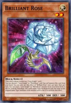 Brilliant Rose 「EN」