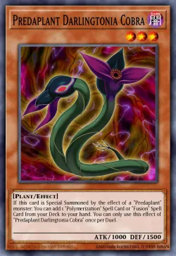 Predaplant Darlingtonia Cobra 「EN」