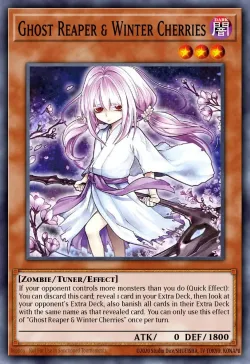 Ghost Reaper & Winter Cherries 「EN」