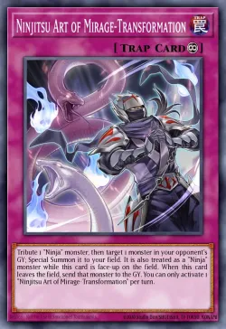Ninjitsu Art of Mirage-Transformation 「EN」