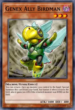 Genex Ally Birdman 「EN」