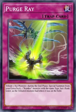 Purge Ray 「EN」
