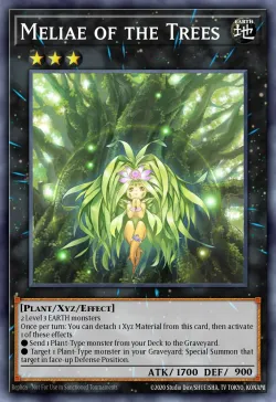 Meliae of the Trees 「EN」