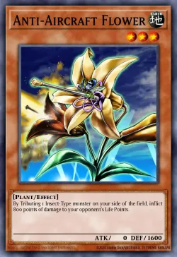 Anti-Aircraft Flower 「EN」