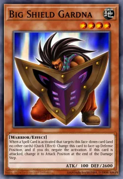 Big Shield Gardna 「EN」