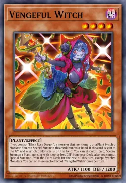 Vengeful Witch 「EN」