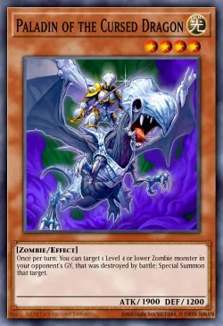 Paladin of the Cursed Dragon 「EN」
