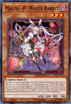 Maliss <P> White Rabbit 「EN」