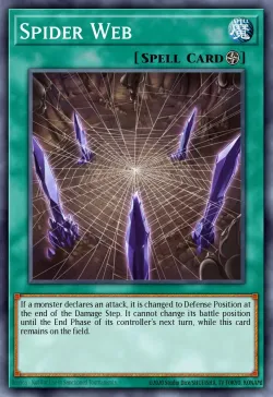 Spider Web 「EN」