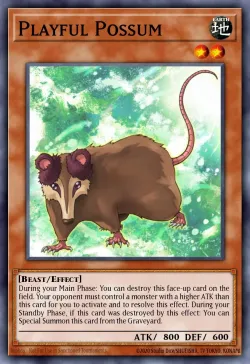 Playful Possum 「EN」