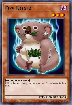 Des Koala 「EN」