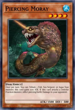 Piercing Moray 「EN」