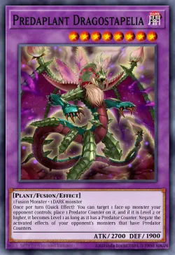 Predaplant Dragostapelia 「EN」
