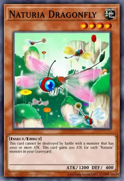 Naturia Dragonfly 「EN」