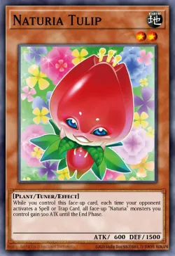Naturia Tulip 「EN」