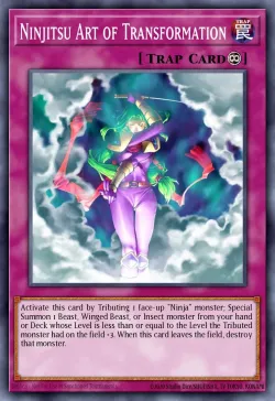 Ninjitsu Art of Transformation 「EN」