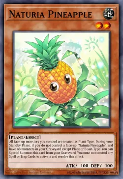 Naturia Pineapple 「EN」