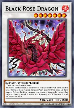 Black Rose Dragon 「EN」