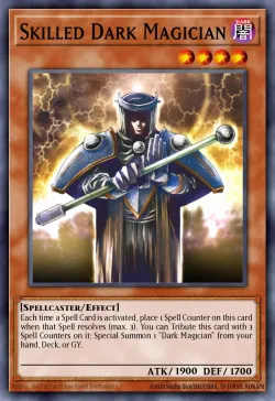 Skilled Dark Magician 「EN」