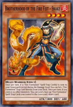 Brotherhood of the Fire Fist - Snake 「EN」