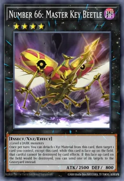 Number 66: Master Key Beetle 「EN」
