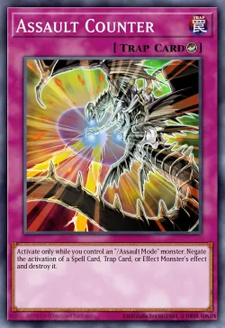 Assault Counter 「EN」