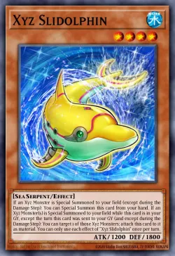Xyz Slidolphin 「EN」