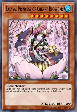 Talaya, Princess of Cherry Blossoms 「EN」