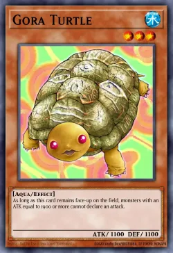 Gora Turtle 「EN」