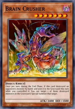 Brain Crusher 「EN」