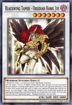 Blackwing Tamer - Obsidian Hawk Joe 「EN」
