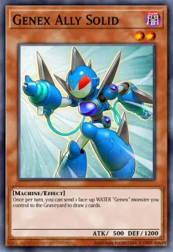 Genex Ally Solid 「EN」
