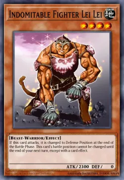 Indomitable Fighter Lei Lei 「EN」