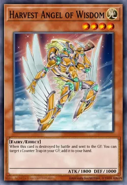 Harvest Angel of Wisdom 「EN」