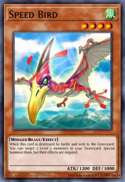 Speed Bird 「EN」