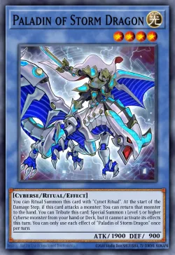 Paladin of Storm Dragon 「EN」