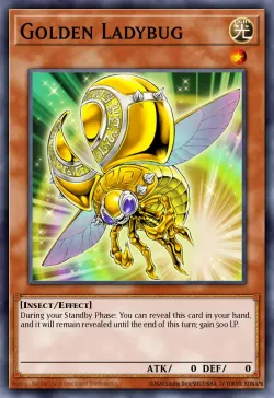 Golden Ladybug 「EN」
