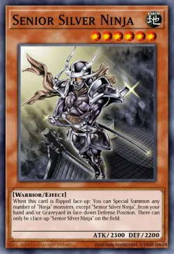 Senior Silver Ninja 「EN」