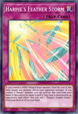 Harpie's Feather Storm 「EN」