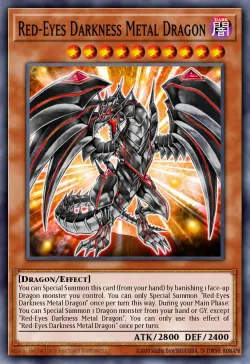 Red-Eyes Darkness Metal Dragon 「EN」