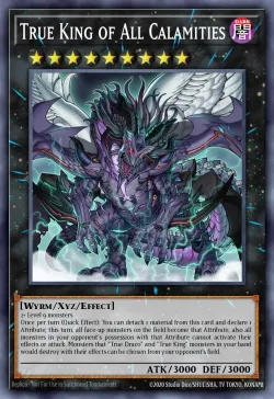 True King of All Calamities 「EN」