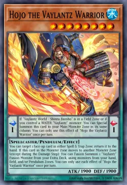 Hojo the Vaylantz Warrior 「EN」
