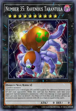 Number 35: Ravenous Tarantula 「EN」