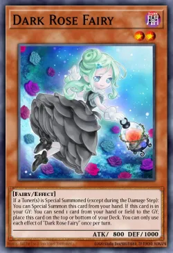 Dark Rose Fairy 「EN」