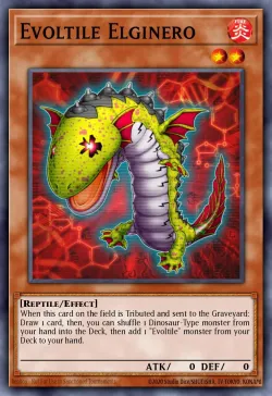 Evoltile Elginero 「EN」