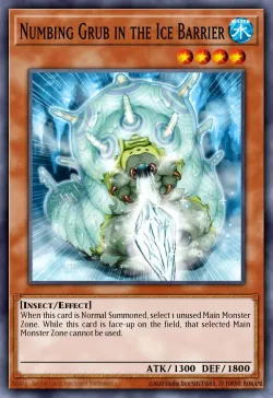 Numbing Grub in the Ice Barrier 「EN」