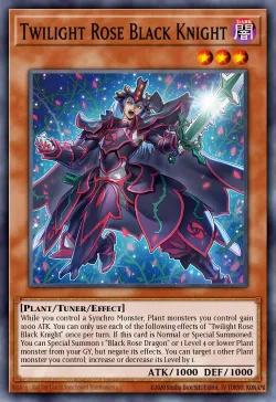 Twilight Rose Black Knight 「EN」