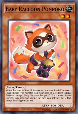Baby Raccoon Ponpoko 「EN」