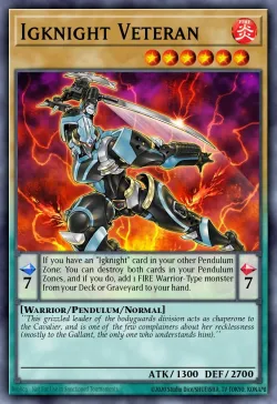 Igknight Veteran 「EN」